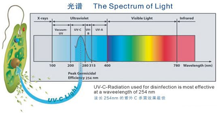 科普！紫外線殺菌燈對人體影響及正確使用方法